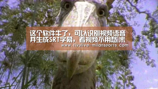 米兰首页