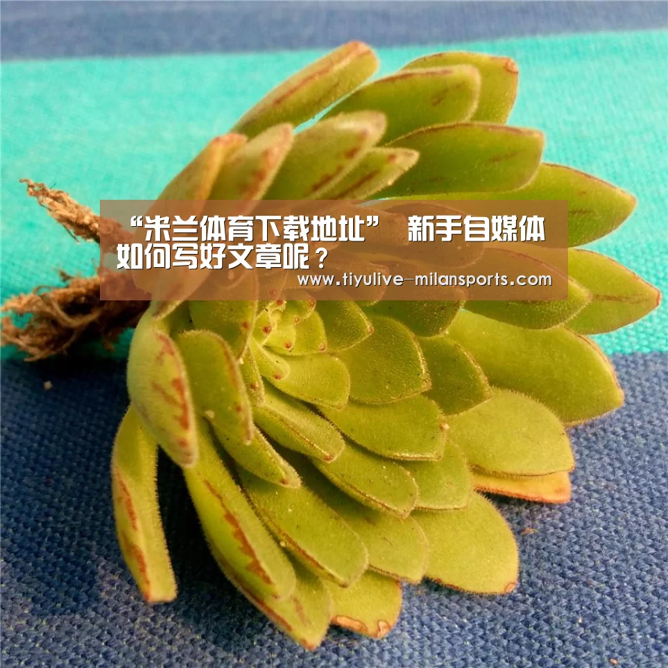 “米兰体育下载地址”
新手自媒体如何写好文章呢?(图1) 米兰俱乐部