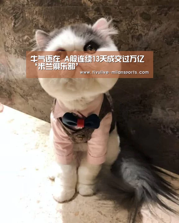 米兰官网