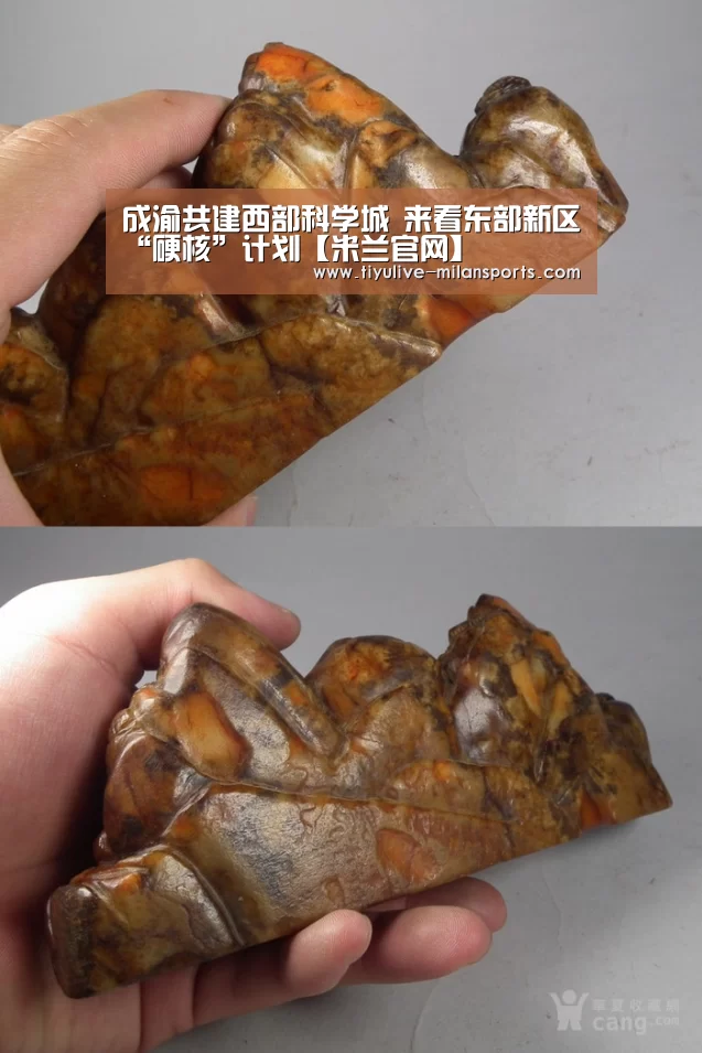 米兰体育下载地址